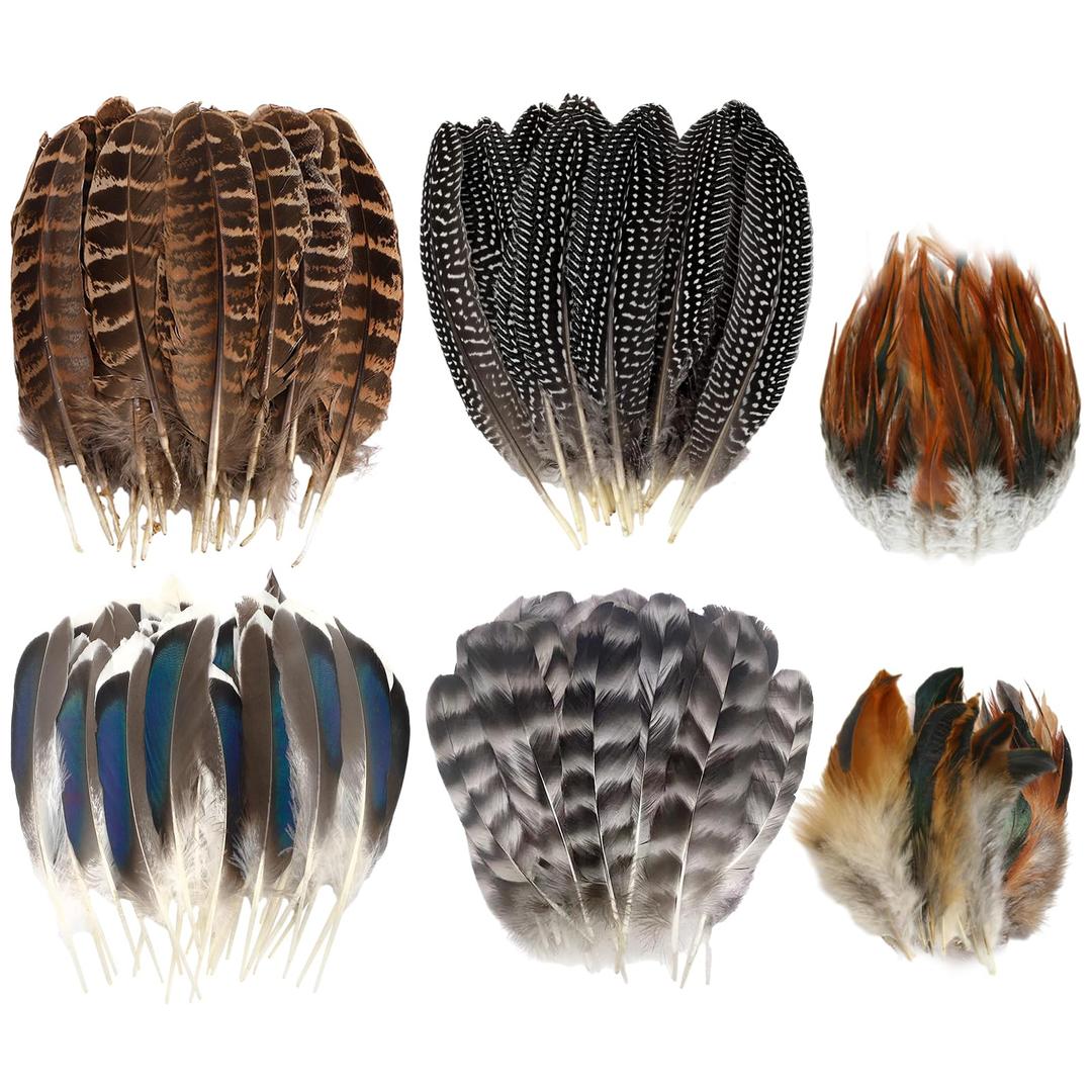 60pcs Natural Turkey Feathers, Pheasant Feathers, Spotted Feathers, Duck Feathers, Swimming Feathers and Black Heart Tip Feathers, 6 Styles Feathers for Crafts DIY Hat Floral Arrangements Decorations