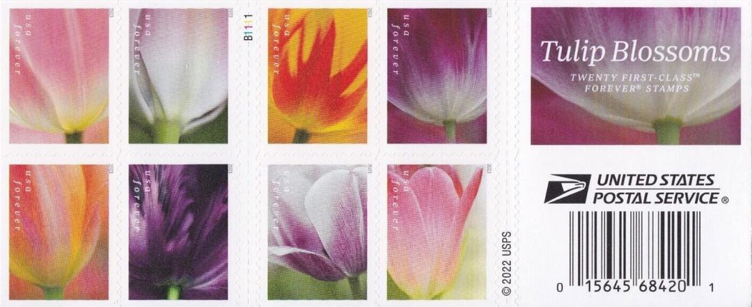 USPS 2023 Tulip Blossom Forever First Class Postage Stamps (20 Count)