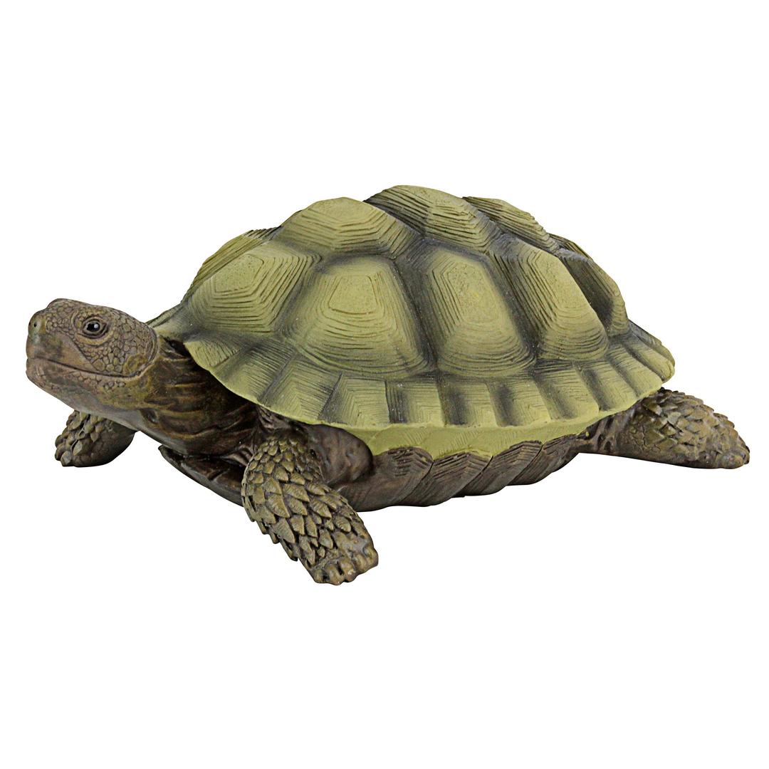 Design Toscano QM1887611 Gilbert the Box Turtle Indoor/Outdoor Garden Decor Animal Statue, Set of One