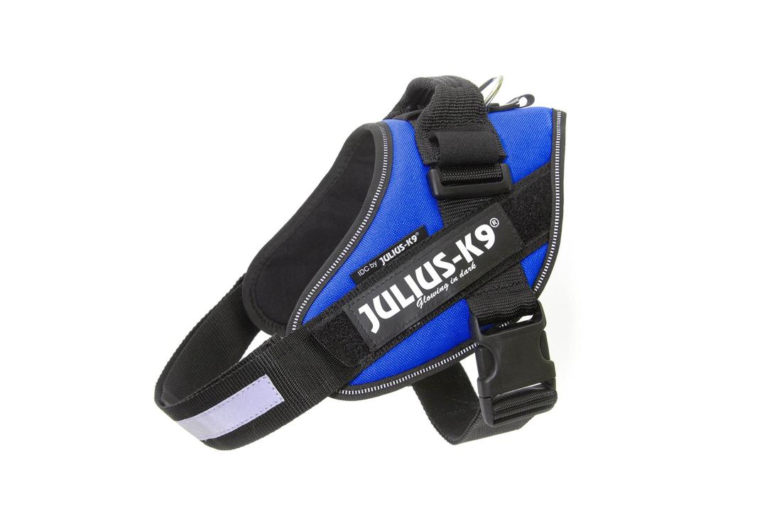 Julius-K916IDC-B-2, IDC Powerharness, dog harness, Size: 2, Blue