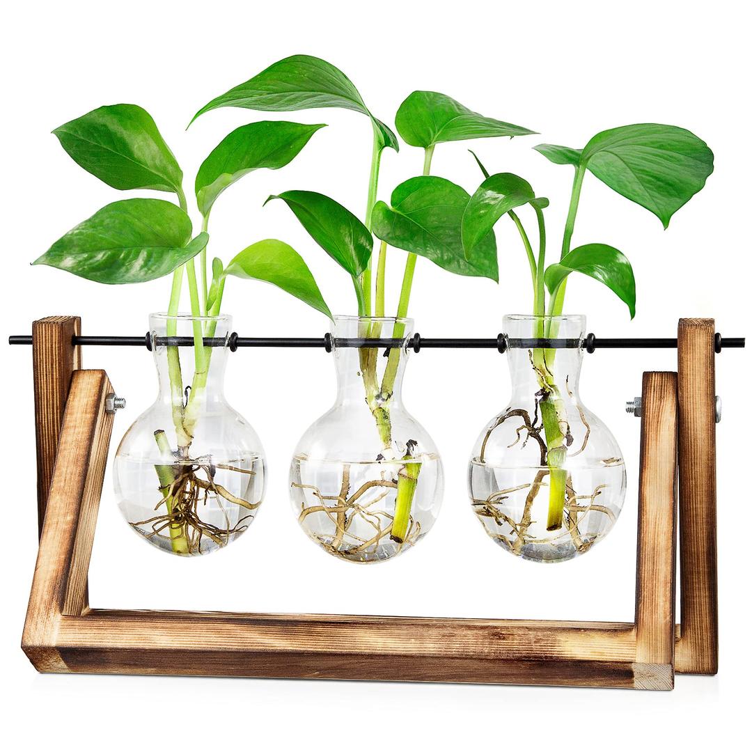 Plant Propagation Stations, Desktop Air Terrarium with Wooden Stand Planters Glass for Hydroponics Office Home Gardening Gifts for Women - 3 Bulb Vase