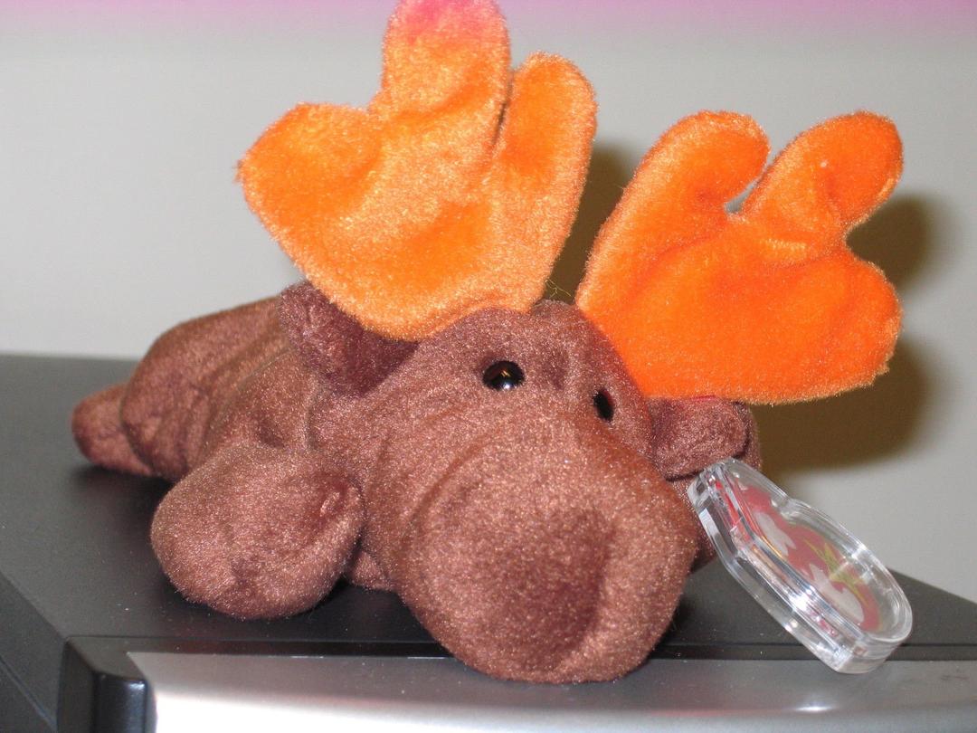 Ty Beanie Baby ~ CHOCOLATE the Moose ~ MINT with MINT TAGS ~ RETIRED ,#G14E6GE4R-GE 4-TEW6W208662