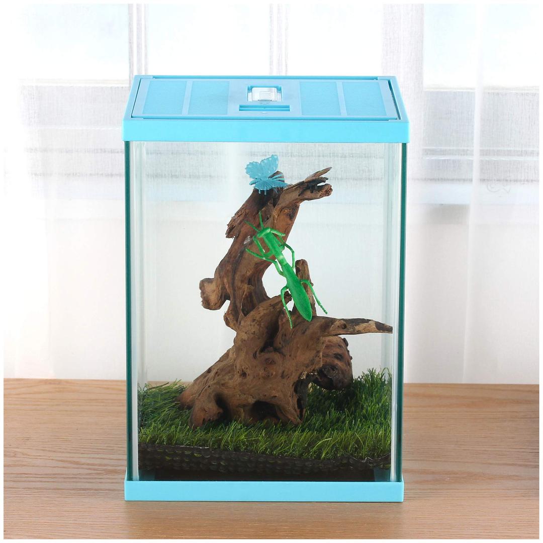 crapelles Blue Small Vertical Insect GlassTerrarium Box,Reptile Tank,for Butterfly Larvae Caterpillar Stick Insects Frog Snail Spider Hermit Crab Habitat Container House Tarantula Cricket breeding