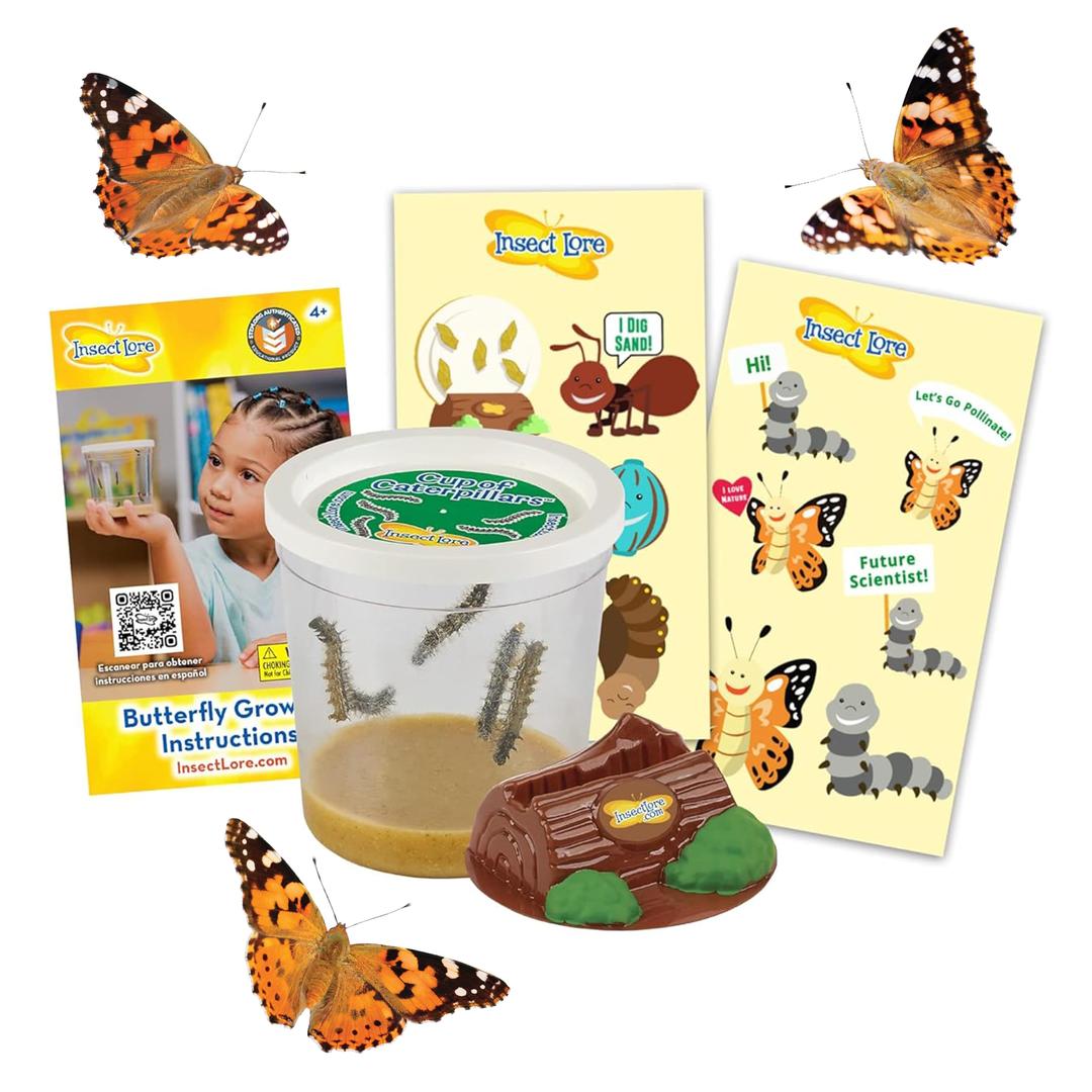 Insect Lore Cup of Caterpillars | 5 Live Caterpillars for Butterfly Garden | Refill for Painted Lady Butterfly Kit | Stickers & Chrysalis Log | STEM Learning Activity