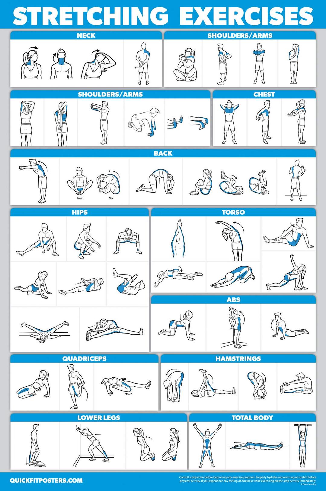 Palace Learning QUICKFIT Stretching Workout Exercise Poster - Stretch Routine (Laminated, 18" x 27")