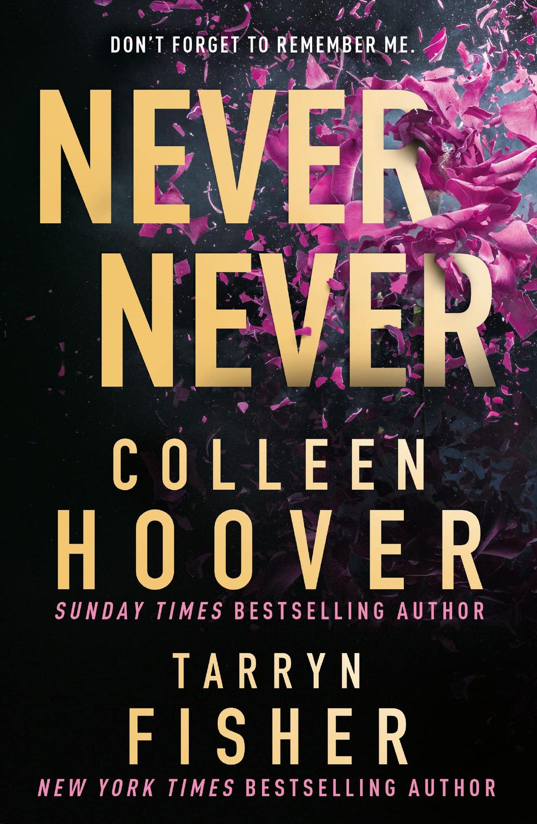 Never Never: TikTok made me buy it! The Sunday Times bestselling dark romance suspense thriller from the BookTok sensation and author of It Ends with Us and the author of The Wives