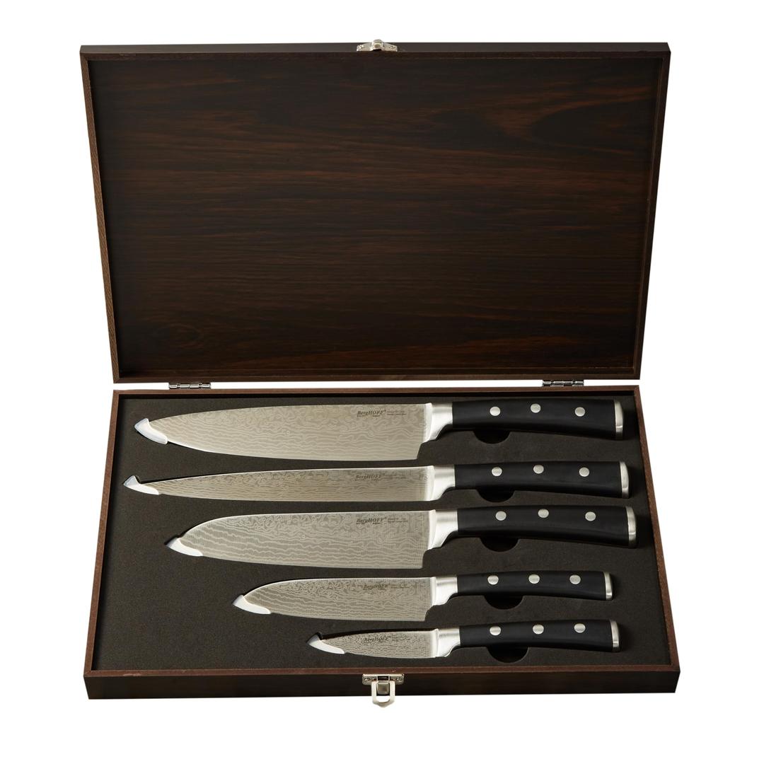 BerghoffAntigua 5Pc Knives With Case German Steel Etched Blade Ergonomically Designed Triple-riveted Handle Sharp & Well Balanced Satin Finish