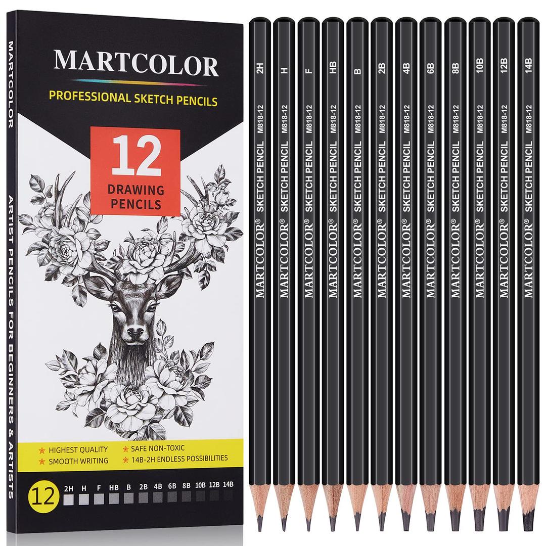 Drawing Sketching Pencils Set, 12 Pack Graphite Pencils(14B - 2H), Ideal for Drawing Art, Sketching, Shading, Artist Pencils for Beginners & Pro Artists