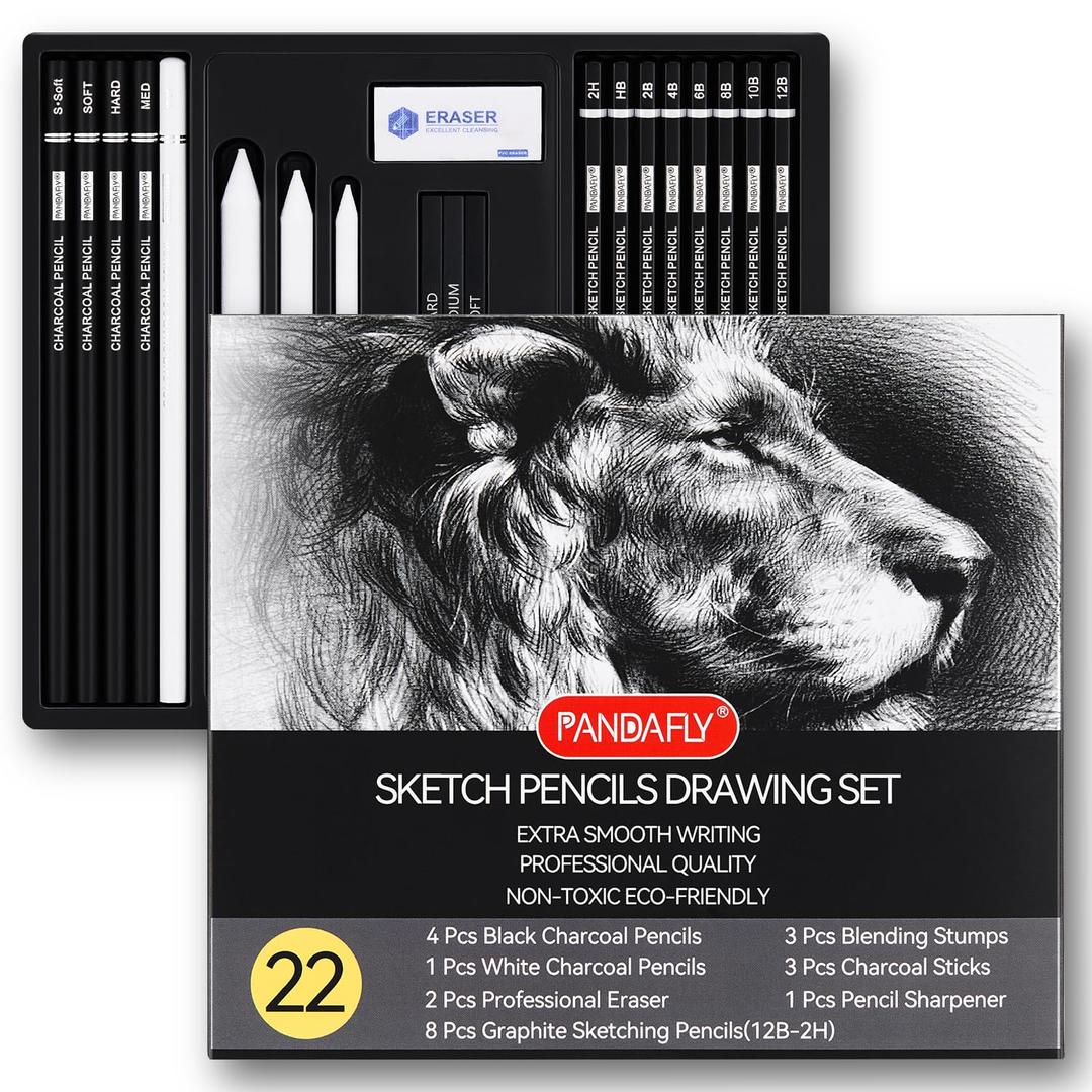 PANDAFLY Drawing Sketching Pencil Set, 22 Piece Pro Art Pencil Kit - Graphite Pencils (12B-2H), Black and White Charcoal Pencils, Charcoal Sticks, Stumps, Eraser, Sharpeners