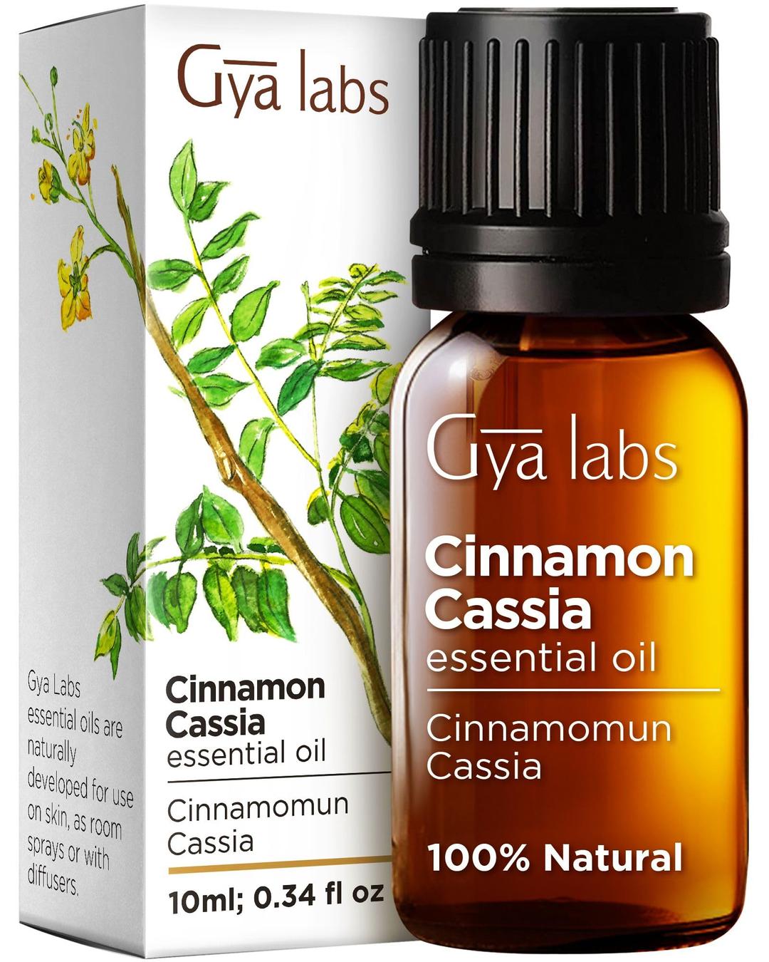 Gya Labs Cinnamon Cassia Essential Oil - 100% Natural Cassia Oil for Hair & Skin Cassia Essential Oil for Diffuser & Candle Making Scent - Cassia Essential Oil for DIY Recipes & Personal (0.34 fl oz)