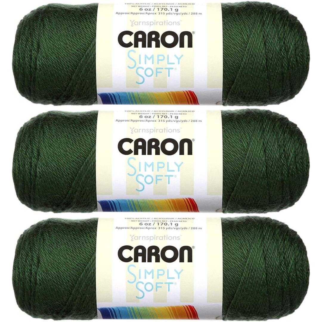 CaronSimply Soft Yarn Solids (3-Pack) Dark Sage H97003-9707