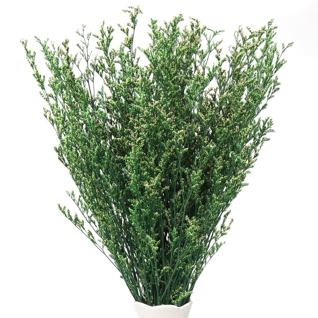 Dried Preserved Caspia Limonium Statice Flower Bouquets 17 Inch 3OZ DIY Arrangements for Vase, Home Decoration Photo Props Party and Weddings, Craft(Green)