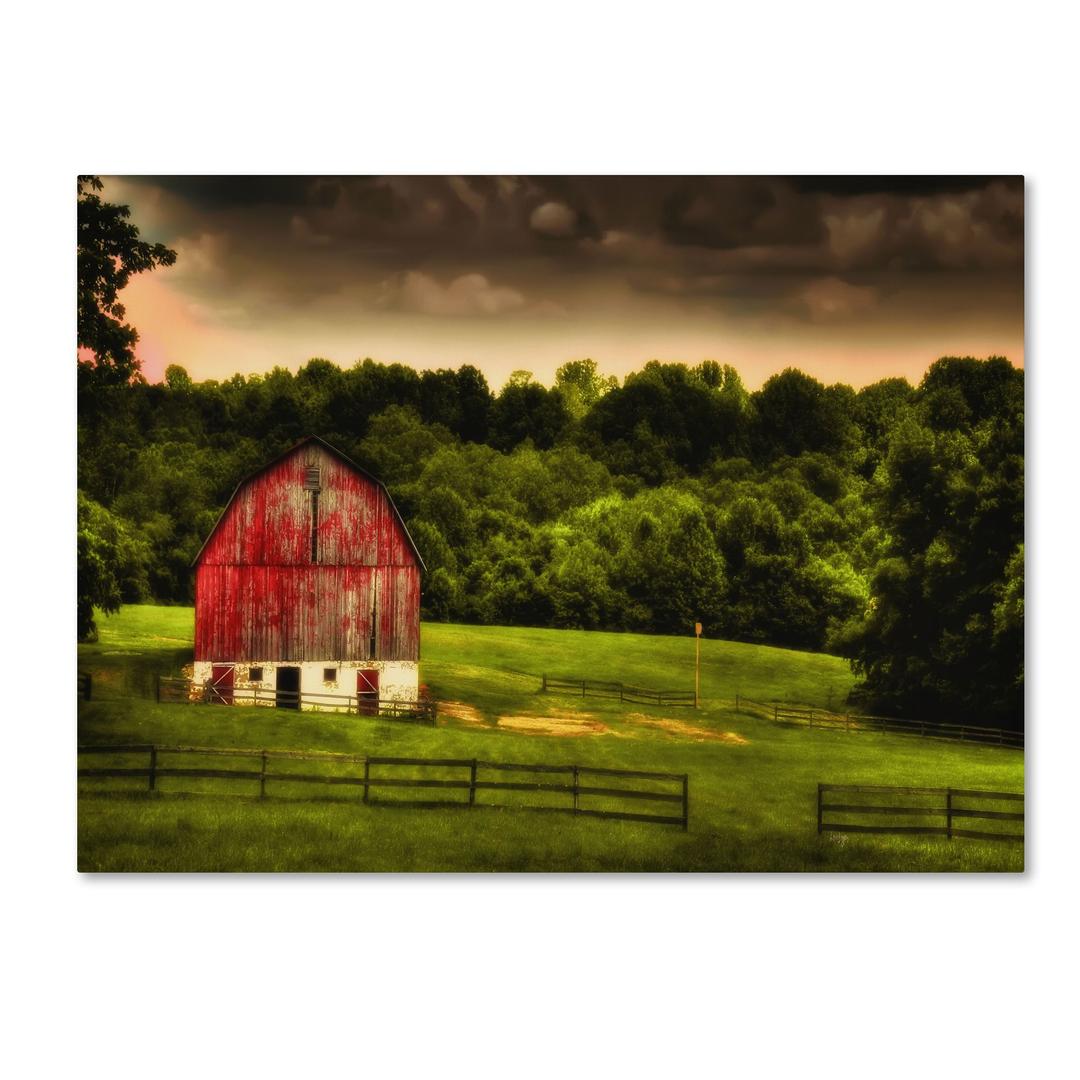 Summer Evening on The Farm by Lois Bryan, 22 by 32-Inch Canvas Wall Art