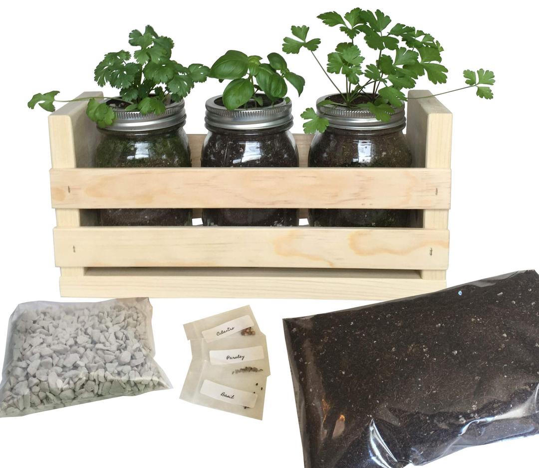 Indoor Herb Garden Kit -Great for Growing an Indoor Herb Garden, Includes Everything You Need to Grow a Herb Garden (Cilantro,Basil,Parsley) in a Simple Container