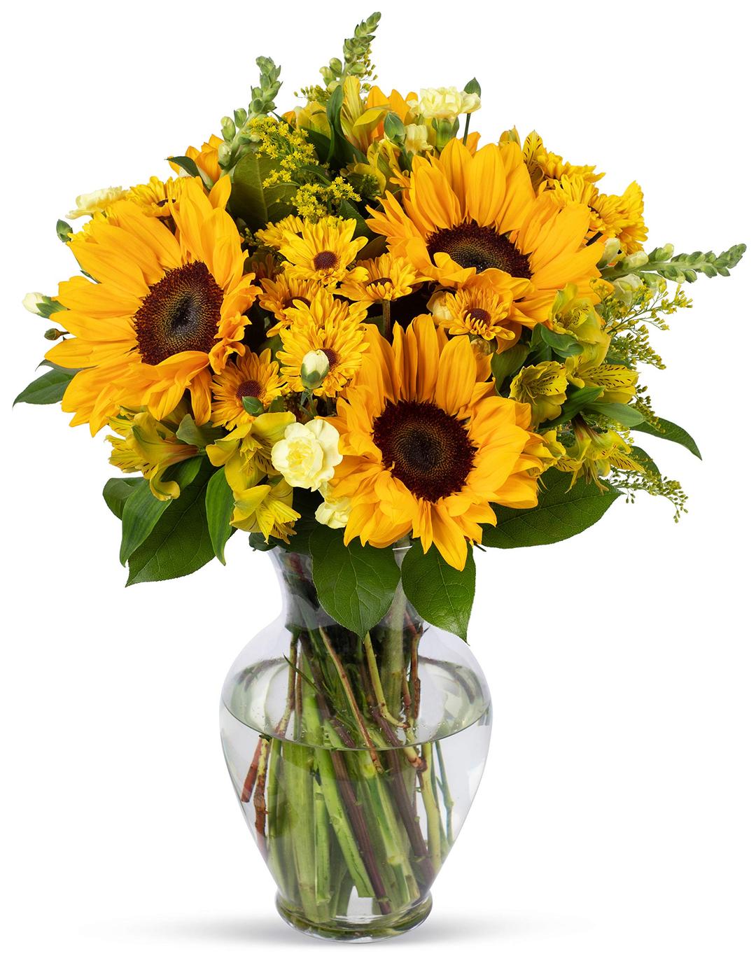 Benchmark Bouquets, Rays of Sunshine, Glass Vase Included, Gift Fresh Flowers for Birthday, Anniversary, Get Well, Sympathy, Congratulations, Thank You, Just Because