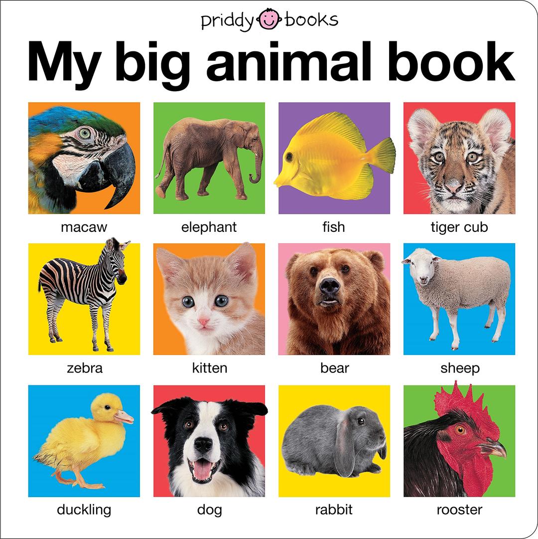 My Big Animal Book (My Big Board Books) Board book – Illustrated, May 10, 2011