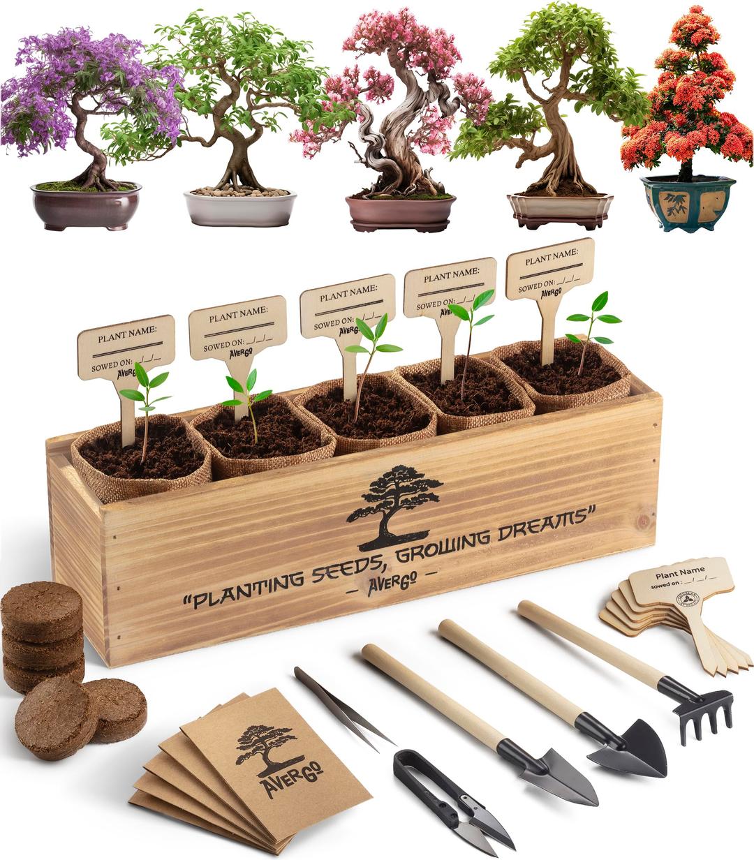 Bonsai Tree Kit – 5X Unique Japanese Bonzai Trees | Complete Indoor Bonsai Starter Kit for Growing Bonsai Plants with Tools & Planters – Gardening Gifts for Women & Men