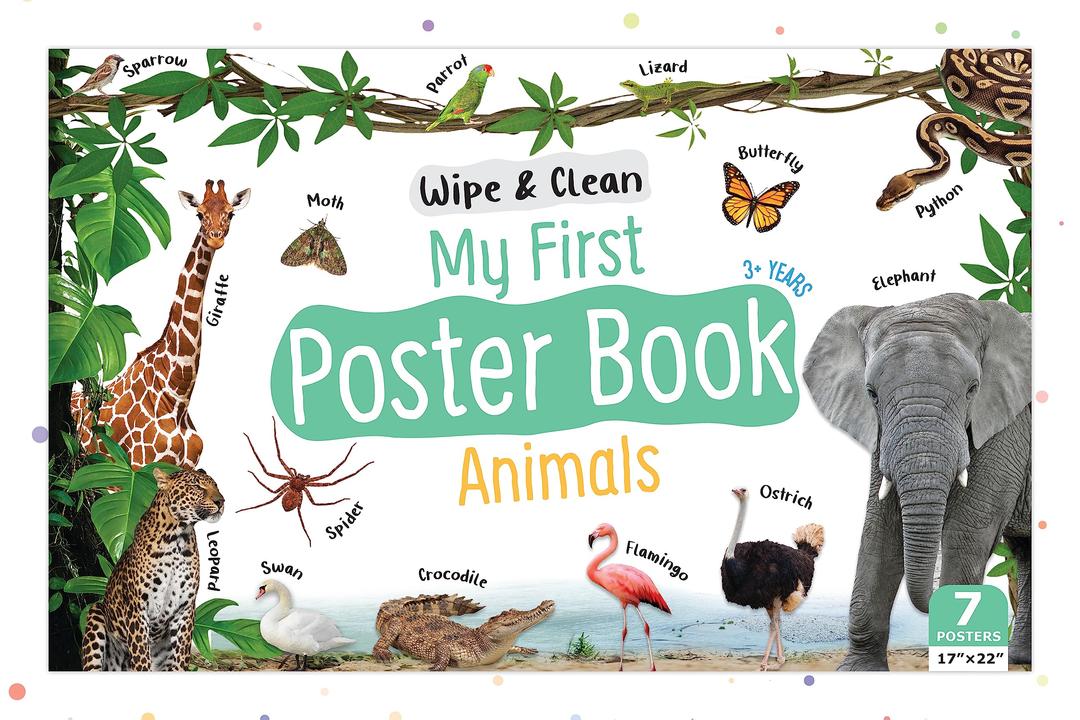 Wild World Wonders: Animal Poster Book for 3+ Years Kids - Explore the Animal Kingdom in Vibrant Posters