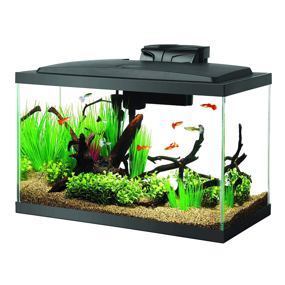 Aqueon Aquarium Fish Tank Starter Kit with LED Lighting 10 Gallon Fish Tank