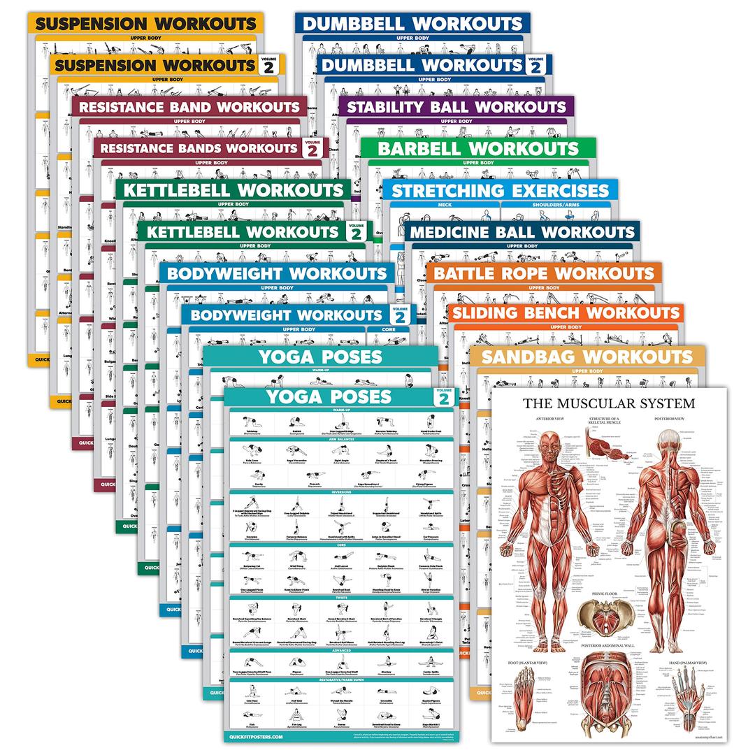 Palace Learning 20 Pack - Exercise Poster Set: Dumbbell, Suspension, Battle Rope, Stretching, Bodyweight, Barbell, Yoga, Exercise Ball, Muscular, Kettlebell, Resistance Bands and More