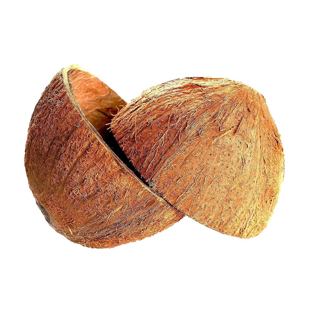 Sri CareNatural Coconut Bowl Halves Coconut Shell for handicraft or pet feeder and candle maker and Christmas and Halloween decorations (2, with fiber)