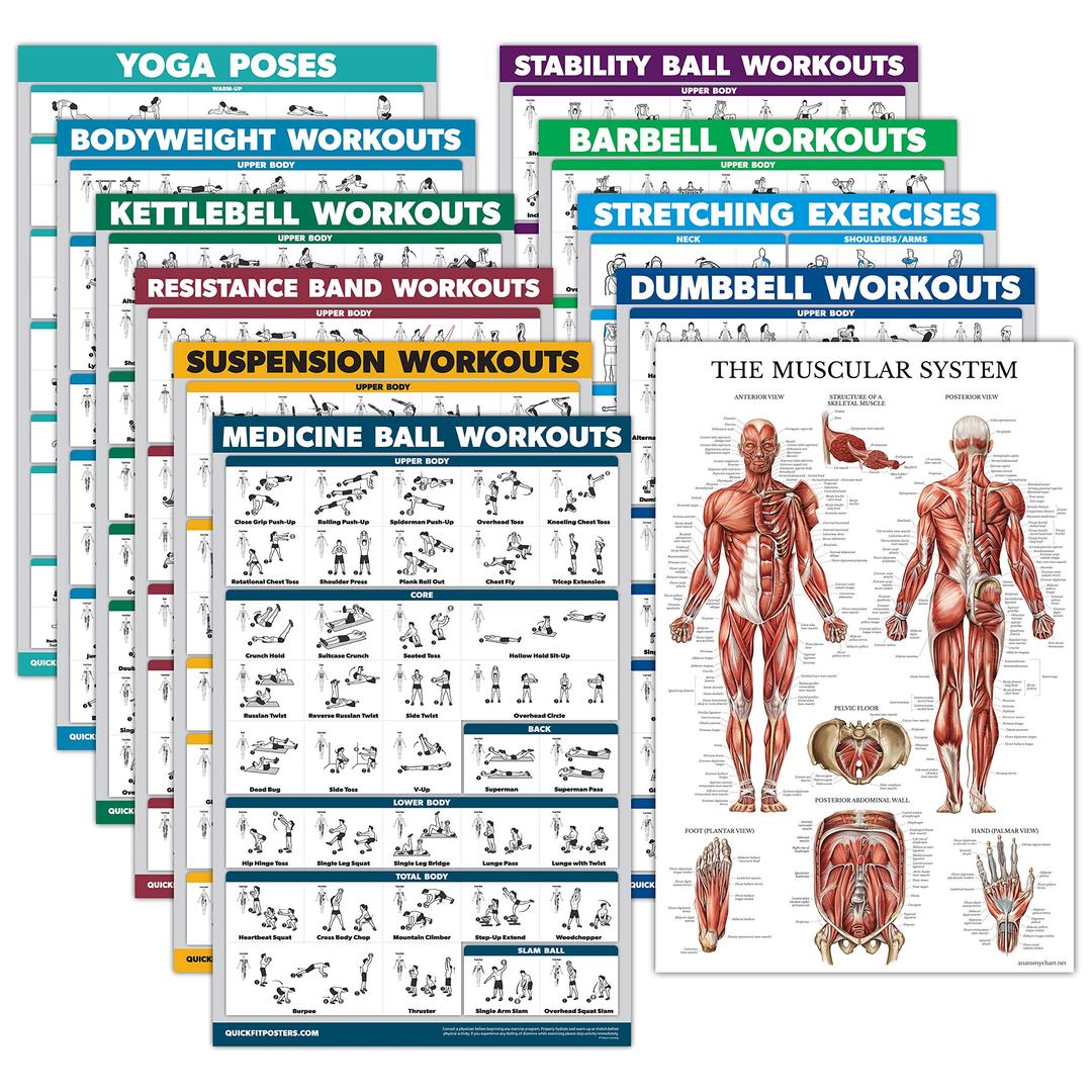 Palace Learning 11 Pack - Exercise Poster Set: Dumbbell, Suspension, Kettlebell, Resistance Bands, Stretching, Bodyweight, Barbell, Yoga, Exercise Ball, Muscular System, Medicine Ball