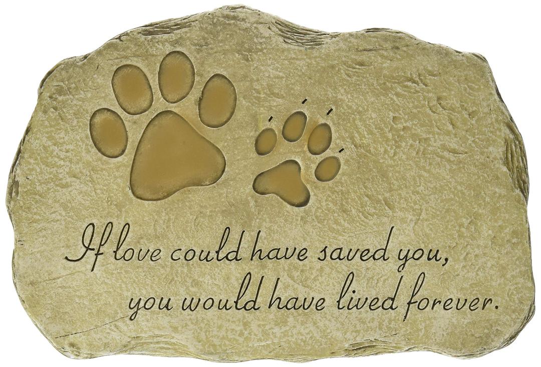 Evergreen Pet Paw Print If Love Could Have Saved You Garden Memorial Stone | Outdoor Safe | 12-Inch | Rainbow Bridge | Rememberance for Lost Love One