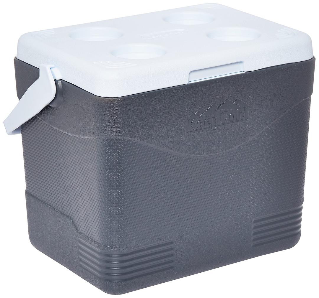 Cosmoplast Keep Cold Plastic Picnic Cooler Icebox 24 Liters