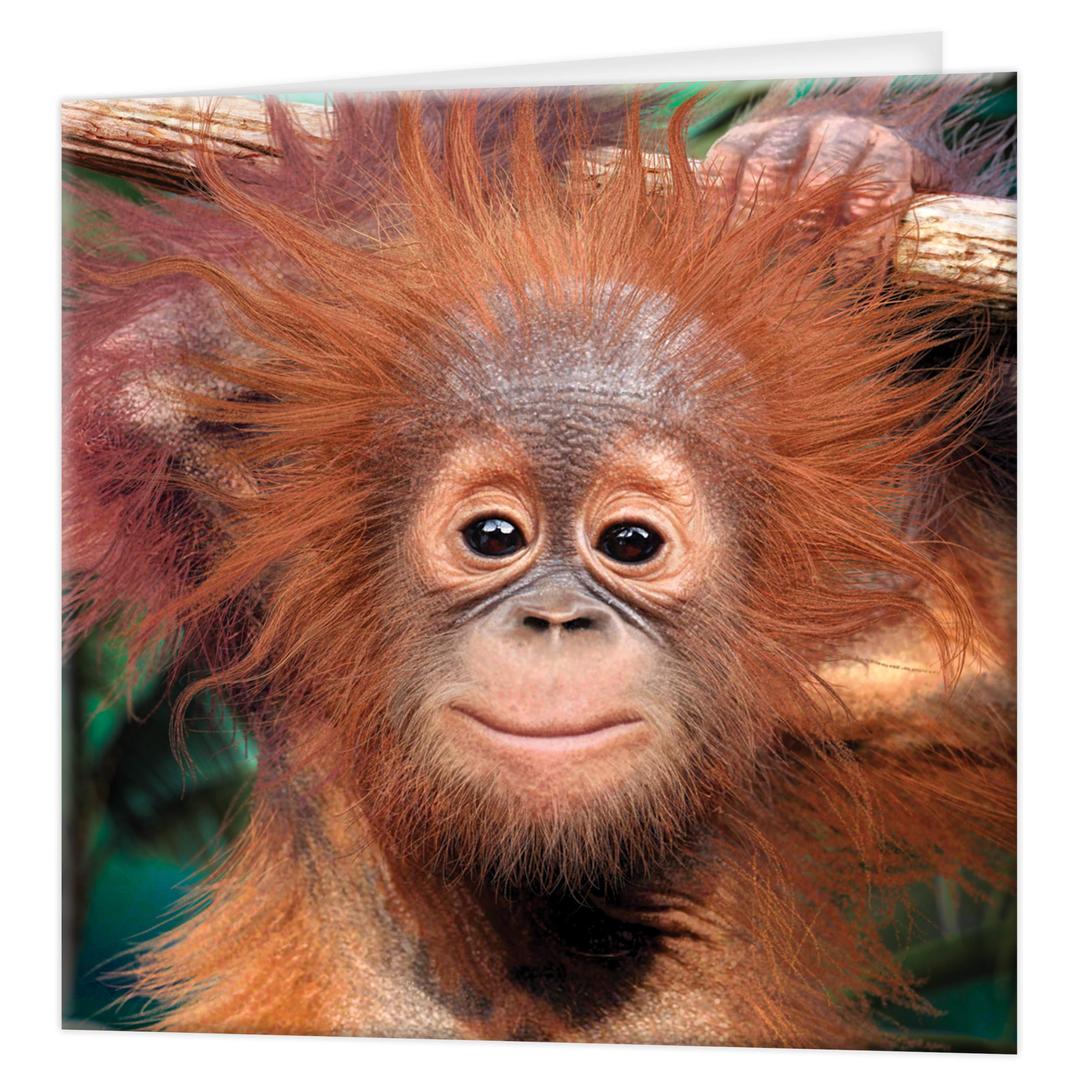 Greeting Card - Baby Orangutan from Deluxebase. Colourful monkey Lenticular 3D Card for any occasion and age. Original artwork licensed from renowned artist, David Penfound