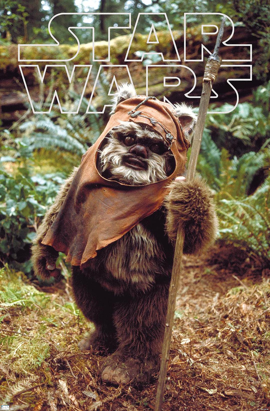 Trends International Star Wars: Return of the Jedi - Wicket W. Warrick Wall Poster